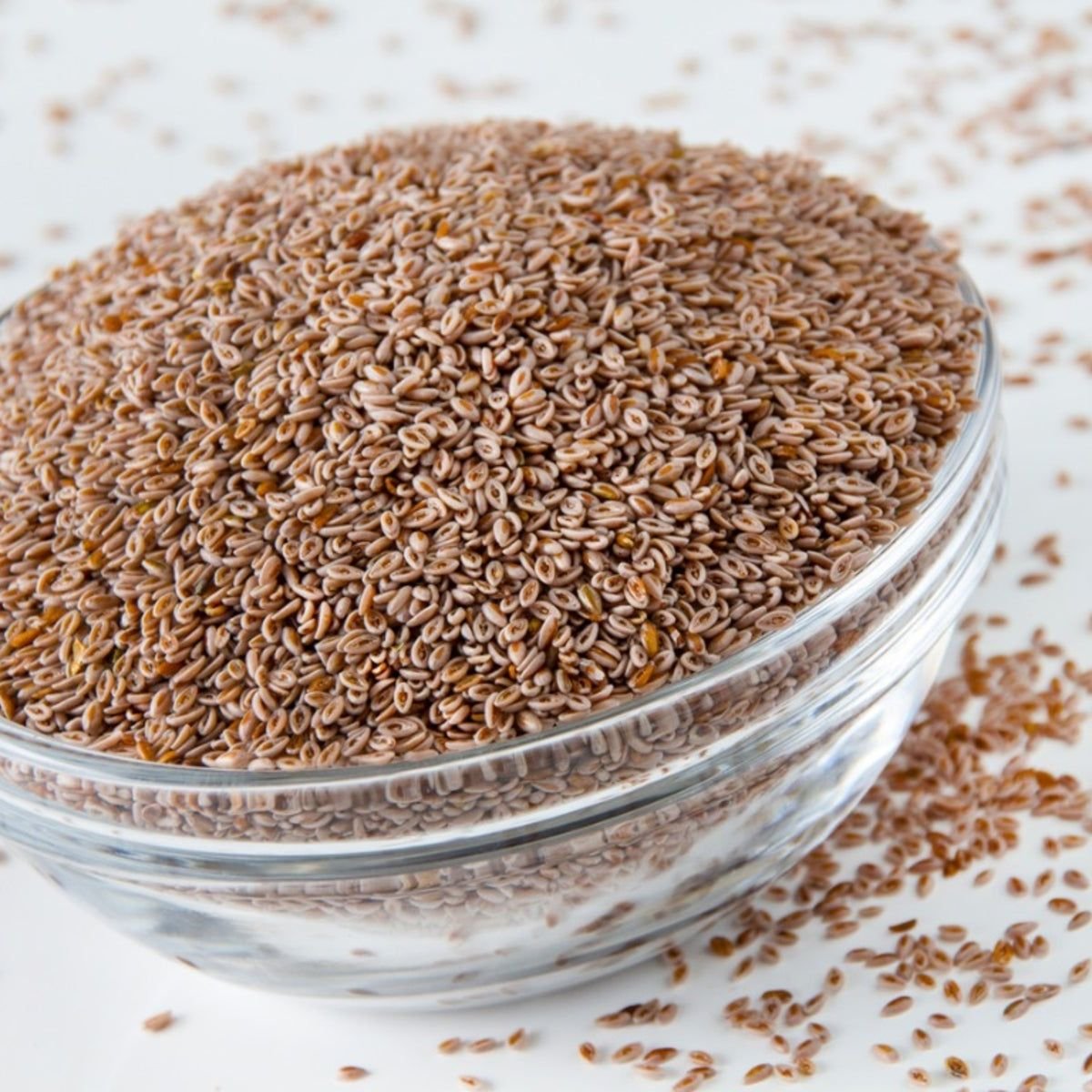 Psyllium Seed Isabgol Exporter India